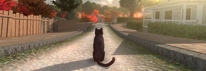 你就是隻貓！全新解謎遊戲讓「貓貓探索世界」　風景美如畫還能逛街～