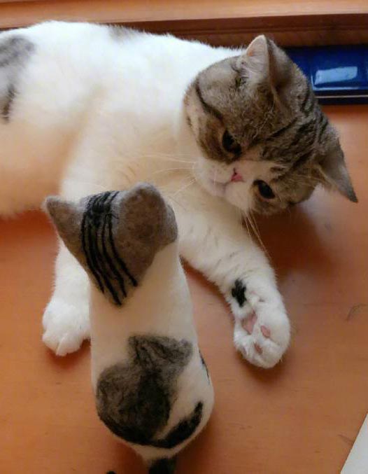 取之於貓用之於貓！廢貓毛被做成「小小貓」　喵皇反應超歡樂：泥是誰？