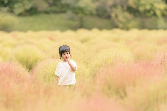 不用看鏡頭才是絕美～　日本攝影爸「隨手側拍」如電影畫面：一家滿滿幸福❤