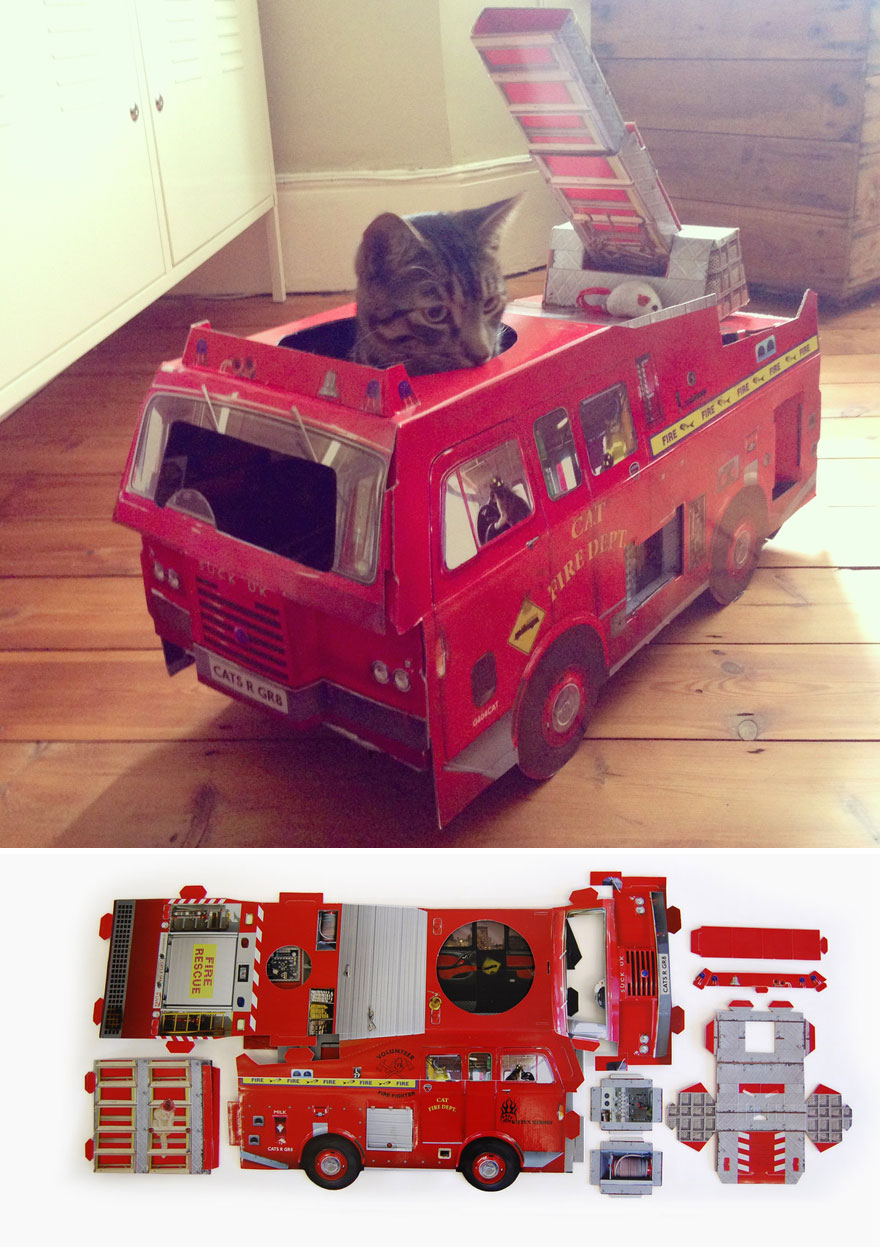 貓咪最愛的紙箱「升級成霸氣玩具」　逼真坦克、飛機讓貓奴都被燒到了