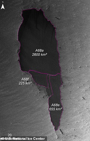 有雙北那麼大！世界最大冰山「分崩瓦解」　科學家憂：會造成生態浩劫