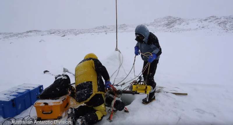 科學家挖洞拍攝「結冰底下的南極」　「異世界景觀」讓網友紛紛屏息
