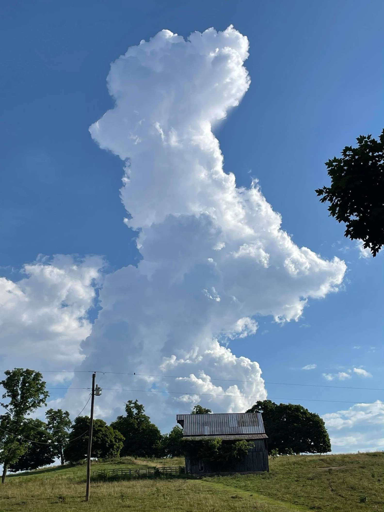 雲養狗！仰望天空恰好目睹「狗狗形狀雲朵」　捕捉瞬間「跳躍畫面」好快樂