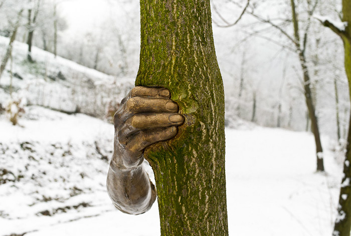 森林中出現「握著樹的手」　1968年的雕塑作品「過50年現在才完成」