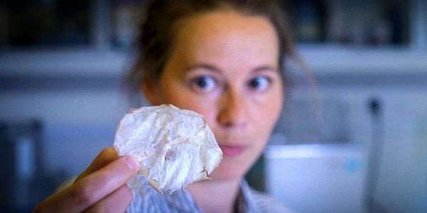未來的新零食？　科學家力推「脫水水母脆片」　狂讚：吃起來比洋芋片更棒