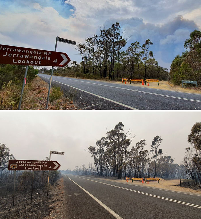 我們失去了這片美好的森林...　21張令人不願相信的「澳洲野火前後對比圖」