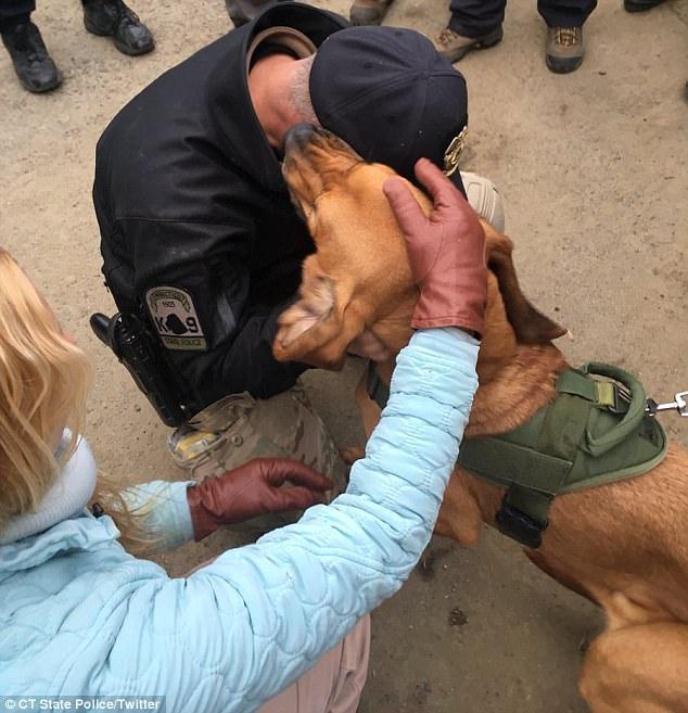 搜救犬執勤墜山谷　百名搜救員「不惜出動營救」：牠也是我們的隊員！