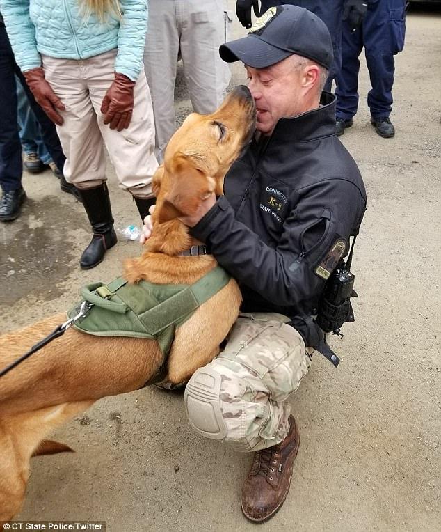 搜救犬執勤墜山谷　百名搜救員「不惜出動營救」：牠也是我們的隊員！