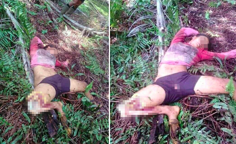 工作時聽到虎嘯…　印尼33歲女爬上樹躲避　不小心摔落「右腿啃食剩白骨」死亡