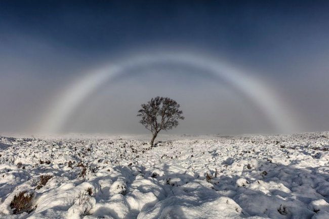 顏色被吃掉？攝影師拍「雪地純白彩虹」44年未見　NASA認證：是罕見奇景