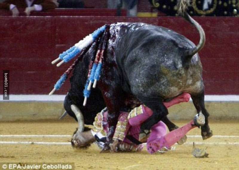 這個被公牛嚴重傷害的鬥牛士痊癒後不怕死再上場，結果公牛這次讓他的「眼珠」飛出來！