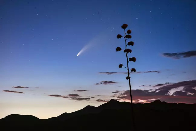 8萬年來首次！彗星「將朝地球飛來」　「肉眼看得到」時間點曝光