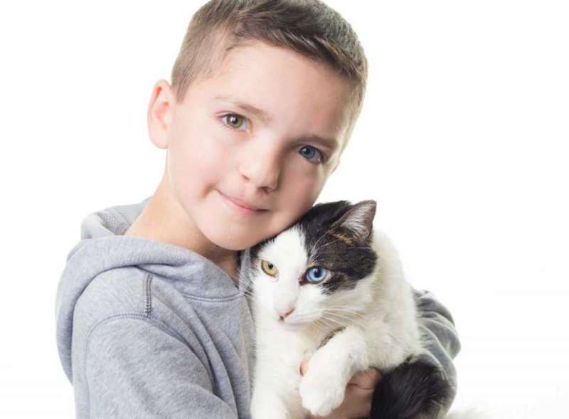 神巧合！　小男孩和貓咪同時有「虹膜異色症和唇裂症」　秒決定要領養回家
