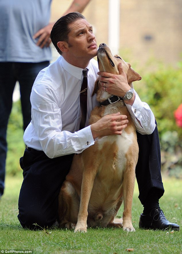 不讓他帶狗就不上課！　16張證明湯姆哈迪「可能是世界最強狗奴」的照片