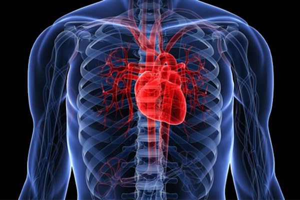 失去摯愛有多痛？科學家發現傷害「跟心臟病相同」，瞬間「破碎的心」這輩子都無法復原！