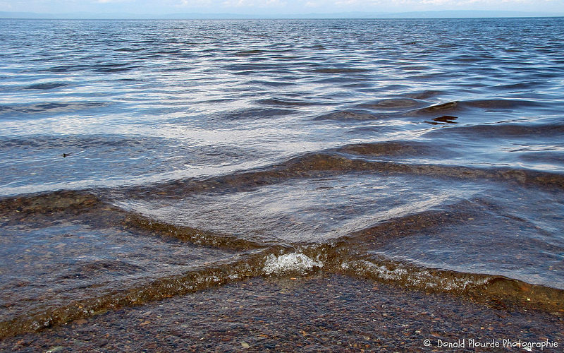 網讚嘆上帝傑作「神秘方塊海」難得一見奇景，可以拍照但是絕對不可以靠近！