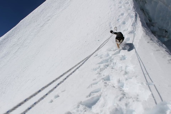 浪浪尾隨登山隊爬喜馬拉雅　身心素質「比人類還強」登頂成史上第一狗！