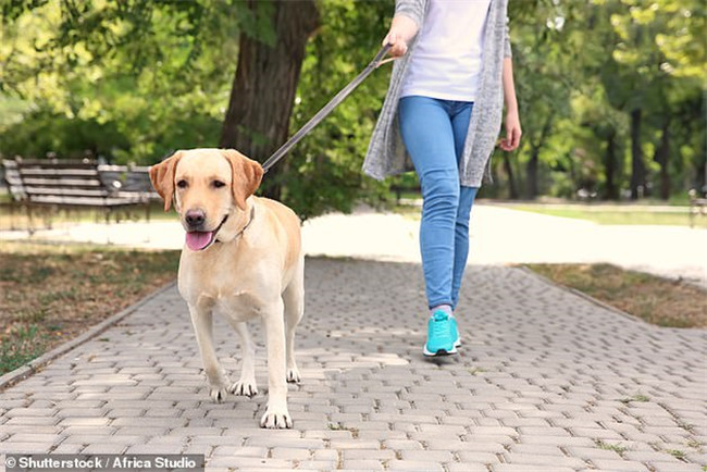 難怪養狗瘦子多～　研究證實「狗狗讓你更健康」養到根本賺到！
