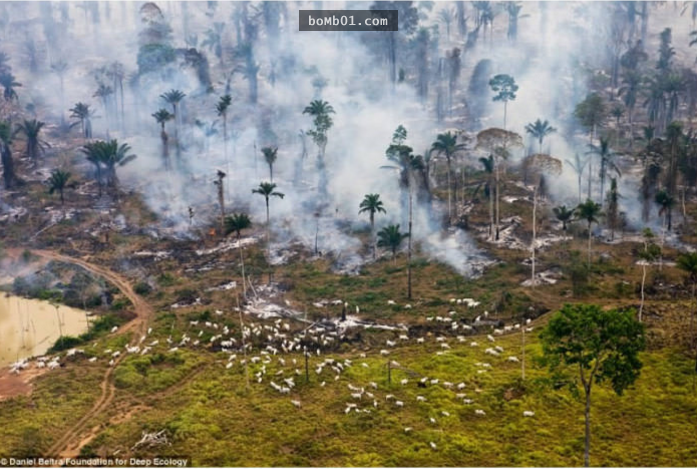 23張令人心驚的世界各地照片證明「我們的地球已經快要完蛋了」！