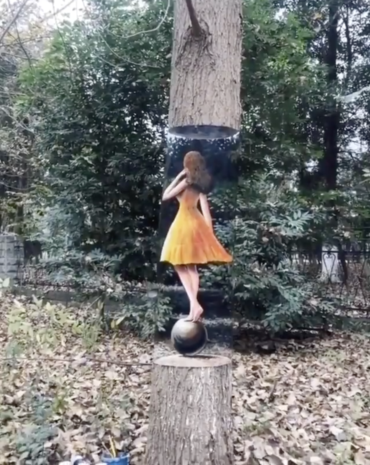 藝術家「樹上圍一圈紙」開始作畫　數分鐘後「木頭直接消失」網友全驚嘆：神乎其技！