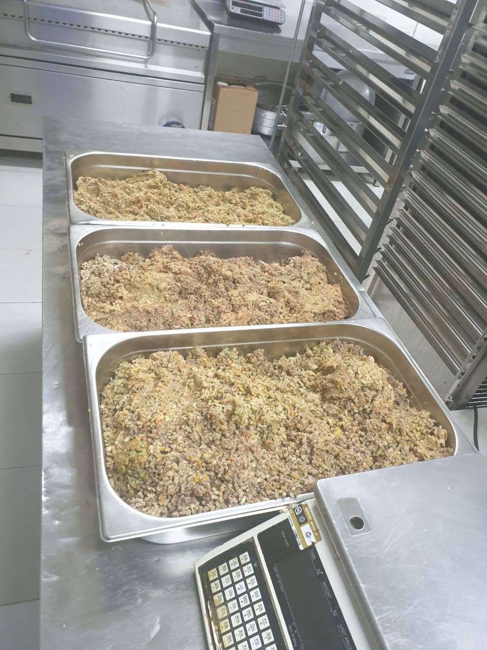 客人吃剩一堆…五星主廚製成「高級狗食」　讓收容所浪浪再也不挨餓