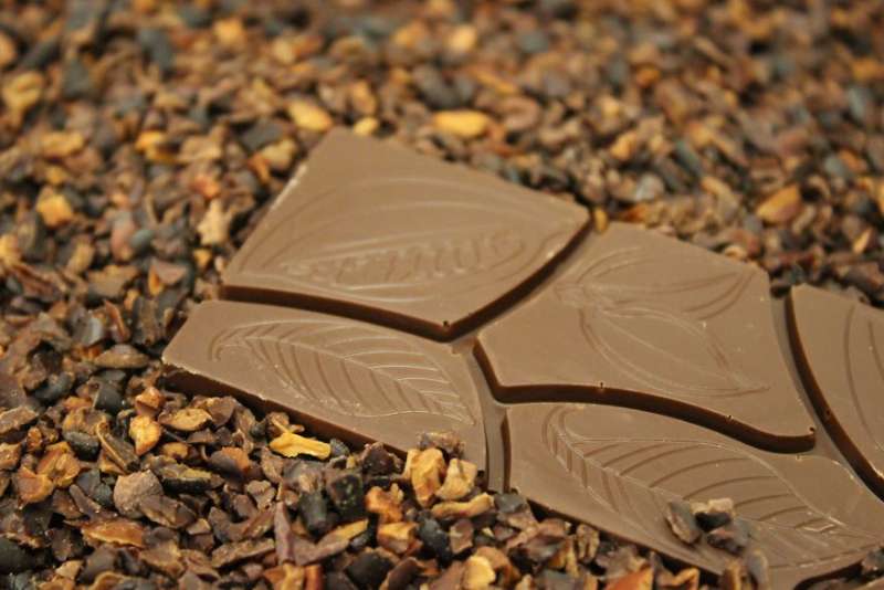圖解揭秘巧克力變身前的「神奇過程」　巧克力製造商讓大家一次看完