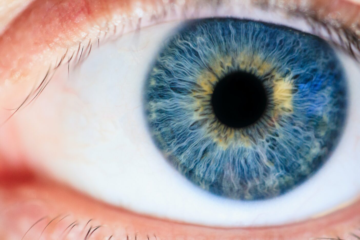 眼睛中隱藏的秘密！　研究發現：所有藍眼睛的人都源自「6000年前一位祖先」