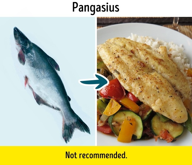 9種「吃多了身體就會GG掉」的污染魚，第三種大家都很愛吃卻不知道其實是危險食物！