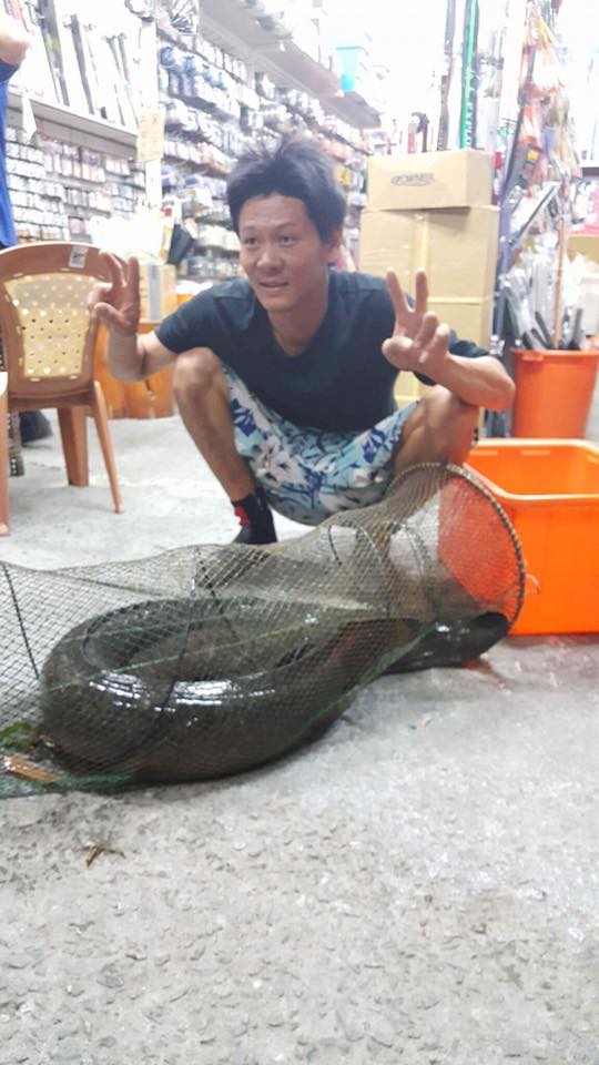 台中男子捕到「大尾鱸鰻」重達23公斤，有人開價25萬收購「他卻因為一個理由」選擇放生！