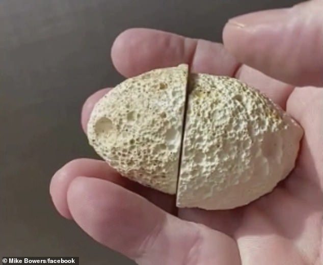 認真？地質學家發現罕見瑪瑙石　一打開根本「餅乾怪獸」