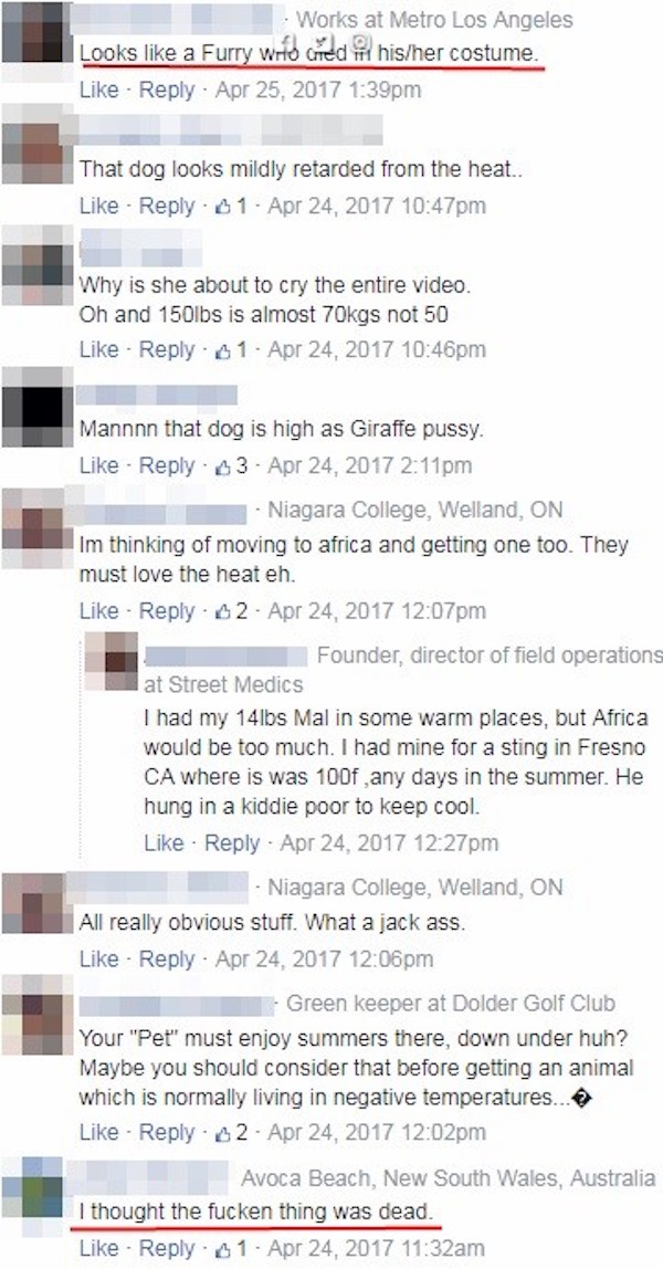 網紅上傳愛狗影片卻被觀眾發現「裡面有異狀」，懷疑這隻狗已經被她殺死了…