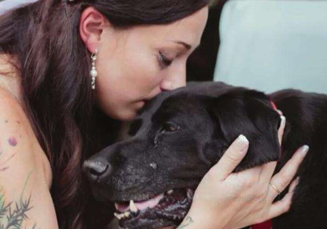 養了15年的老狗狗「得了腦癌」無法走路　主人婚禮當天仍「堅持參加」…最後畫面害賓客爆哭
