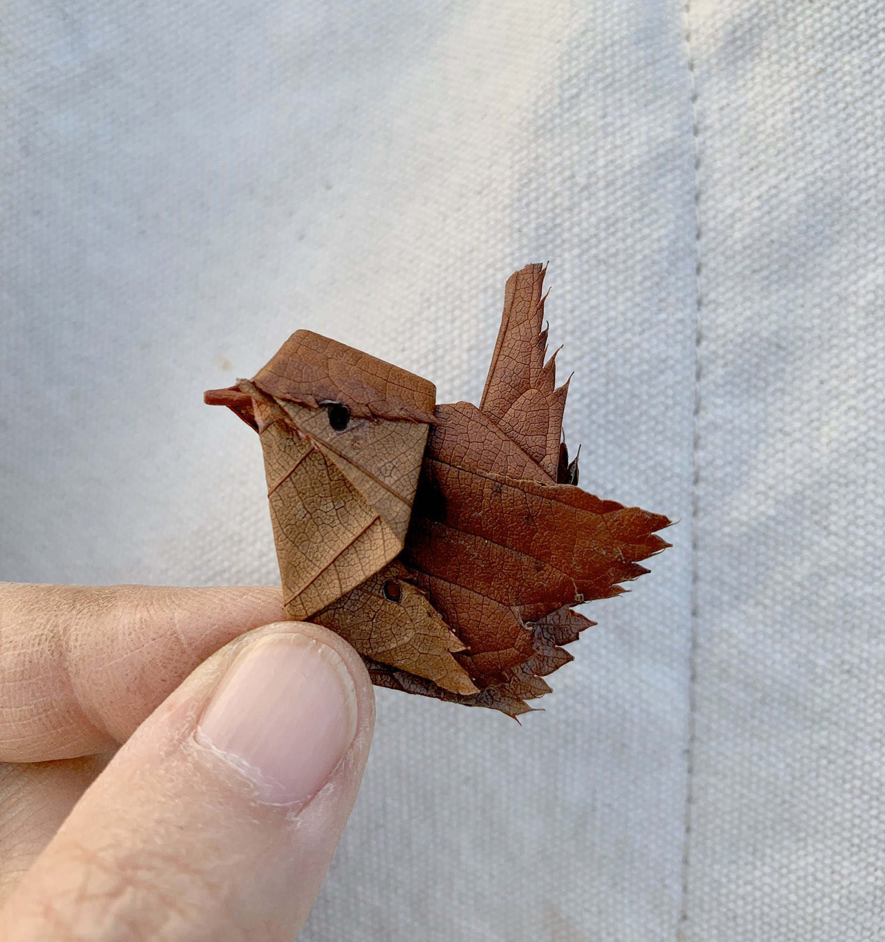 拾落葉就能摺出「可愛小麻雀」　日本藝術家分享過程...網讚：麻雀大隊好療癒～
