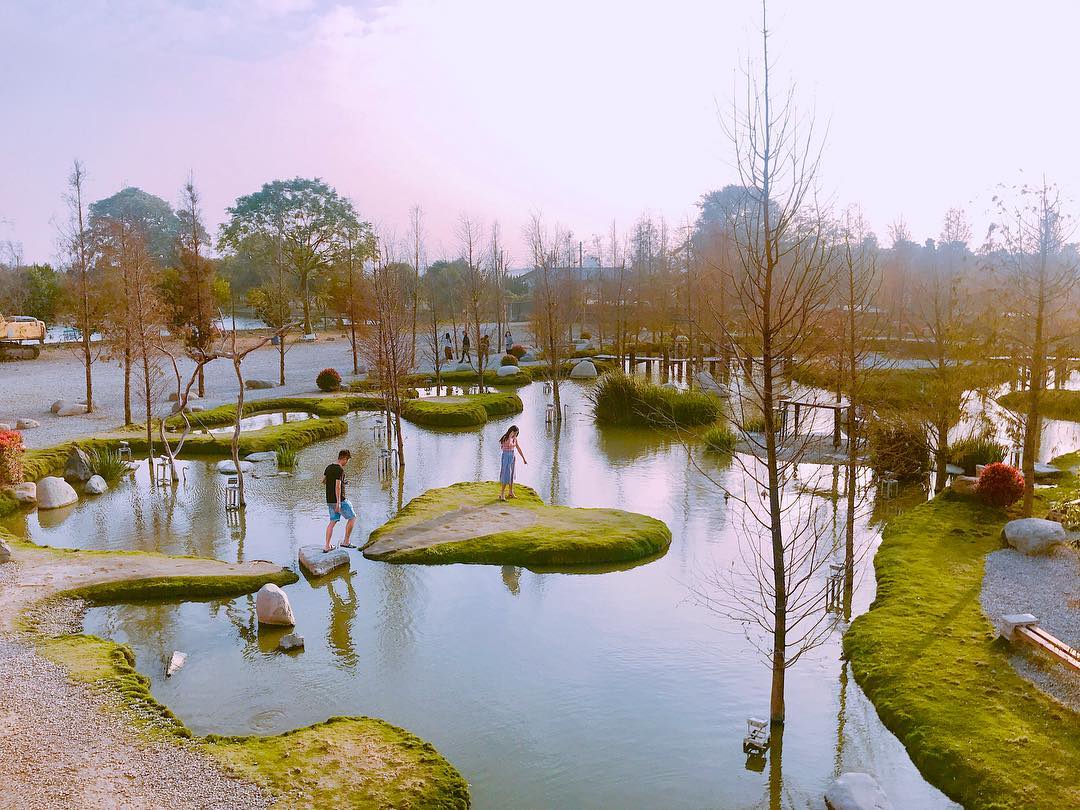 全台最大「景觀日式庭園」在這！　落羽松環繞「湖中愛心島」快揪心上人來拍～