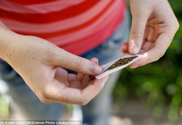 研究證實了！　青少年吸食大麻會「腦殘」　造成永久性腦損傷