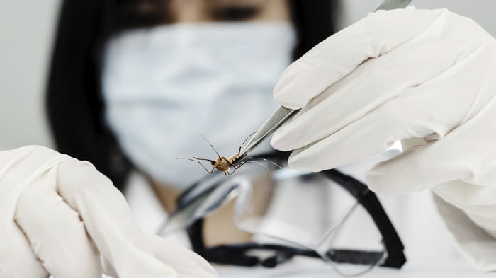 美國批准釋放「基因改造蚊子」　爭議實驗引發反彈：根本是侏羅紀公園翻版！