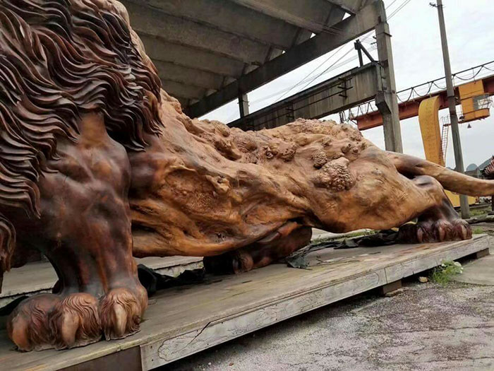 這20個神人花3年時間「把一棵樹雕刻成獅子」，完成後馬上刷新記錄成為全世界最巨型的紅木雕刻！