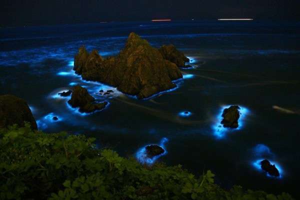 不去外島也能看！　台南相隔1年出現「夢幻藍眼淚」　宛如「海底銀河」觀星者也驚嘆