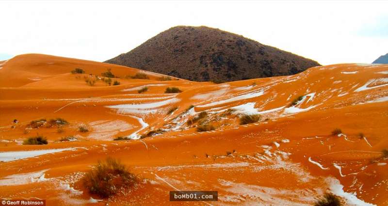 全世界最熱的撒哈拉沙漠「37年來第一次降雪」，駱駝看到眼前的景象都驚呆了！