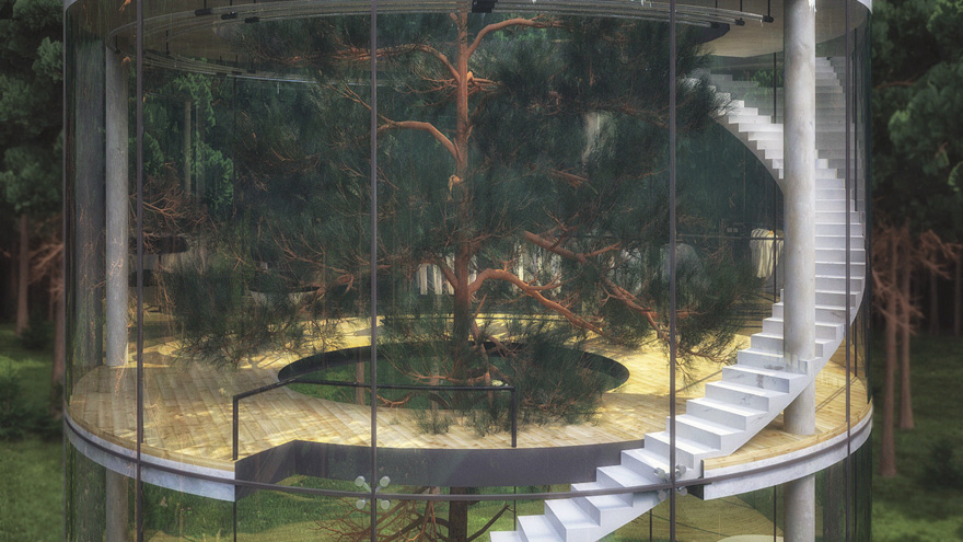 360度全方位「透明森林屋」一面世就轟動　玻璃牆藏「永續秘訣」設計超神