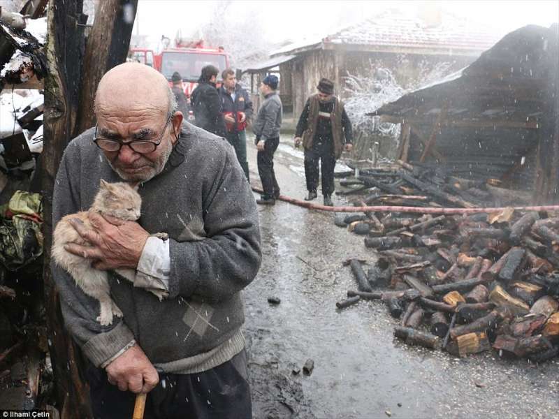 你沒事就好了…　83歲老爺爺房子被燒掉　他忍住淚水抱緊貓咪超催淚
