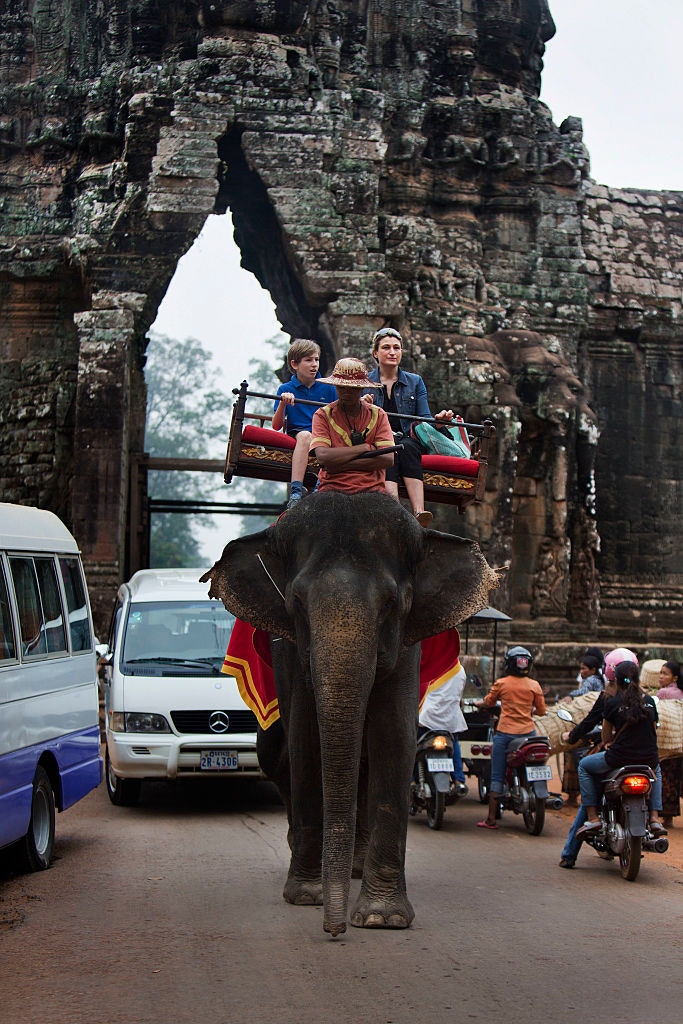柬埔寨好棒！　吳哥窟2020年起「禁騎大象」獲愛動物的人讚好