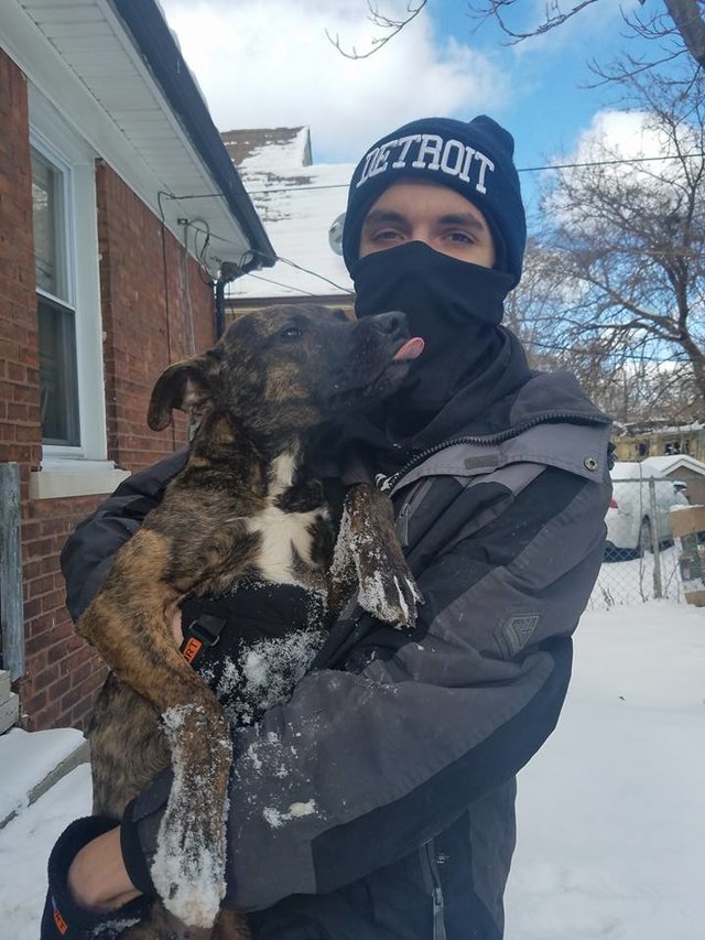 他們不想養了竟然把狗狗「拴在滴水成冰的房子外」，隔天被發現時牠已經趴在雪地裡