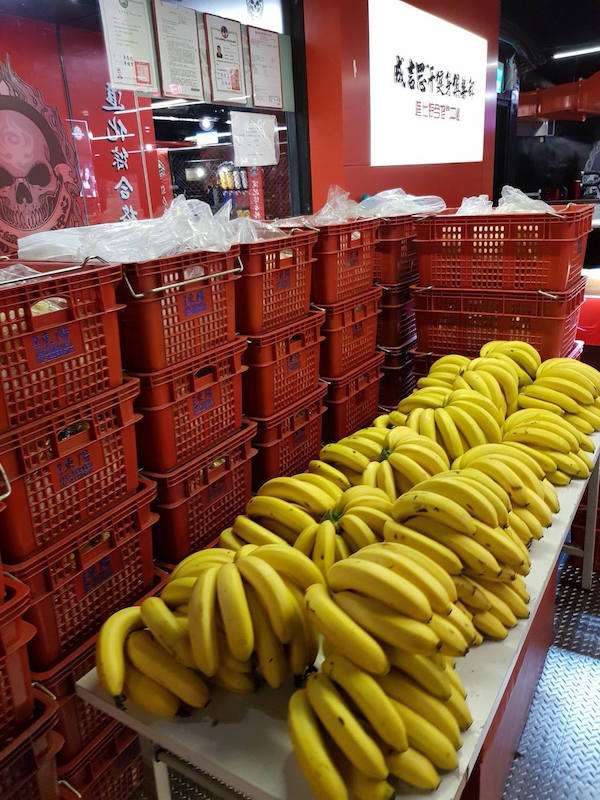 館長霸氣收購「1萬公斤香蕉」分送　「大家不必客氣，一串拿了就走」