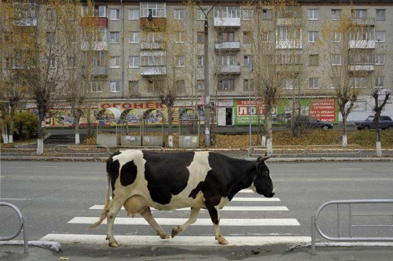 30張「旅遊宣傳廣告上看不到」的俄羅斯真實日常照片　