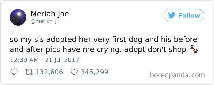 人生第一次領養汪汪...　她照顧「哀愁比特犬」整隻重生逼哭網友