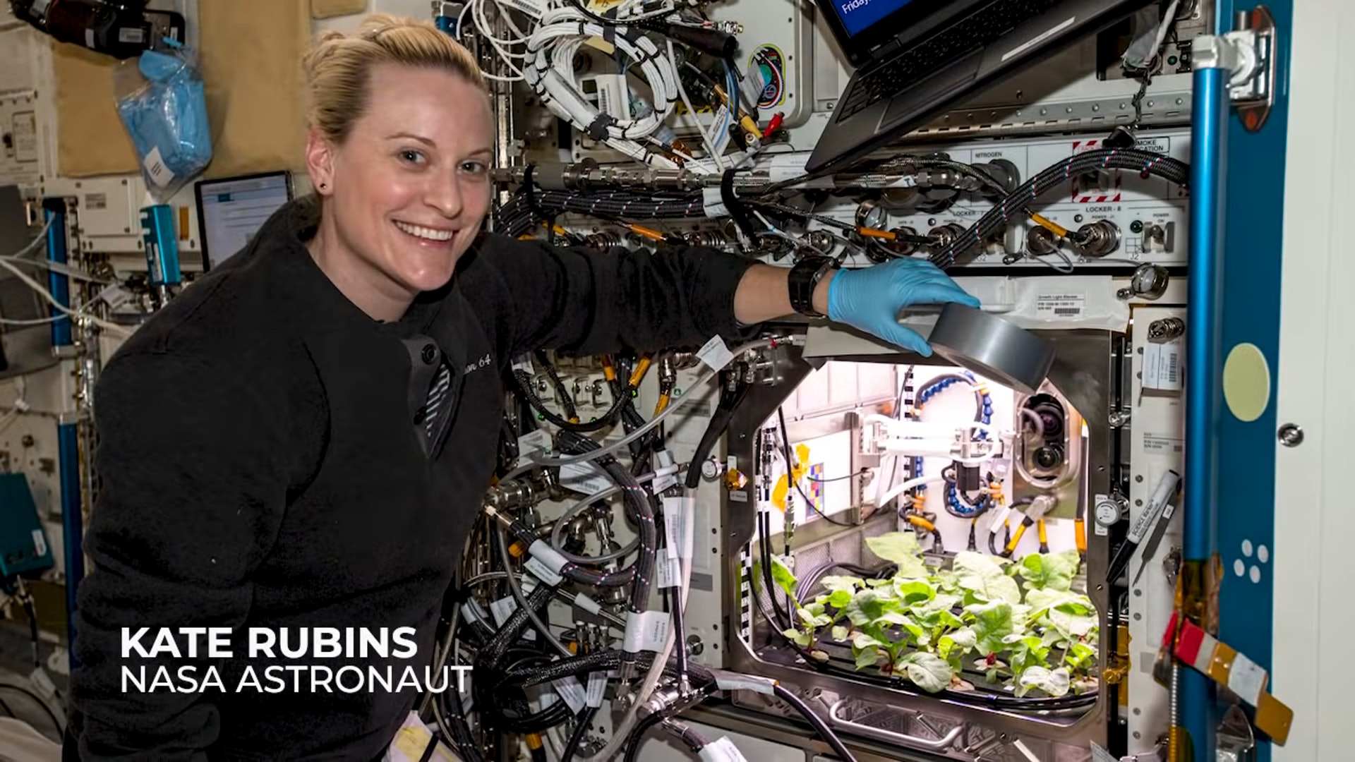 外太空種菜！NASA公開首批「太空蘿蔔」生長史　太空人興奮：已收成