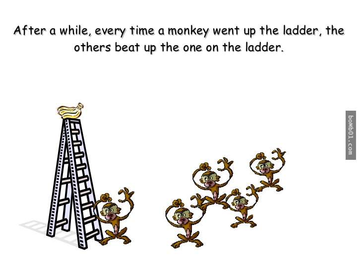 心理學家利用「5隻猴子」做了一個關於恐懼的實驗，結果發現人類在社會上的行為和牠們一模一樣！