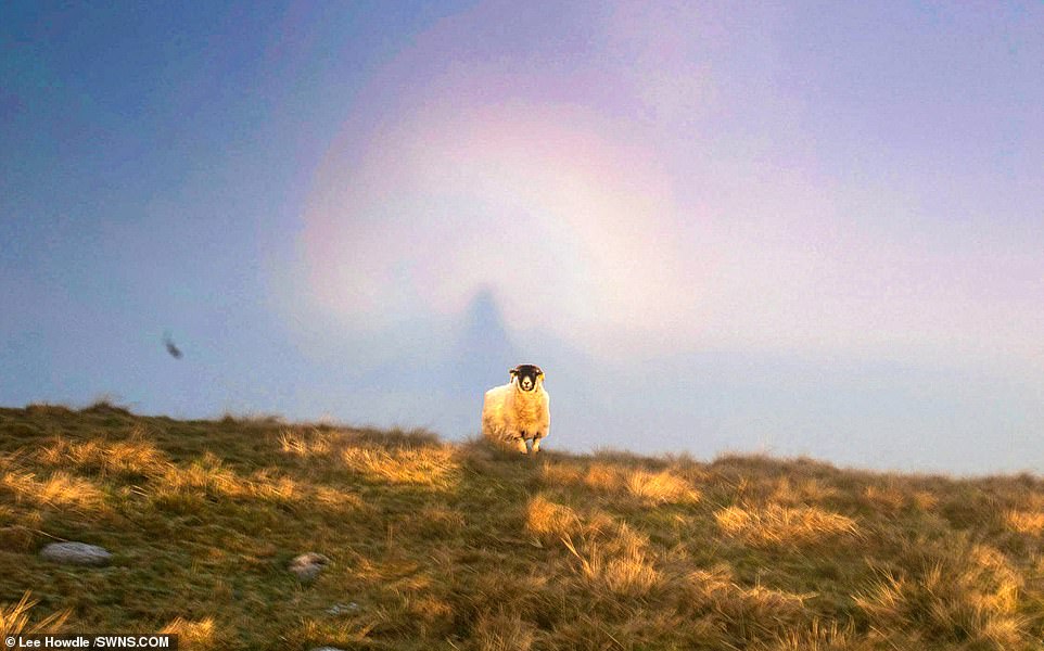 顯靈了？攝影師漫步拍到「彩虹中的天使」　科學家認證：是罕見奇景