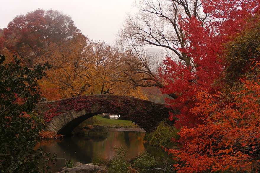 秋天美得很無敵！　12個「楓紅染成油畫」的最美風景對比：就像上帝翻了顏料～